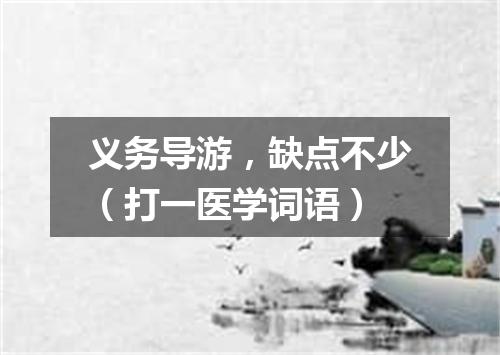 义务导游，缺点不少（打一医学词语）