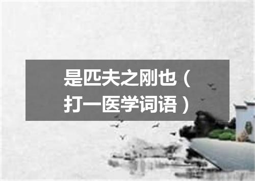 是匹夫之刚也（打一医学词语）
