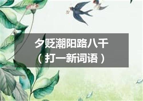 夕贬潮阳路八千（打一新词语）