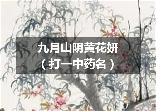 九月山阴黄花妍（打一中药名）