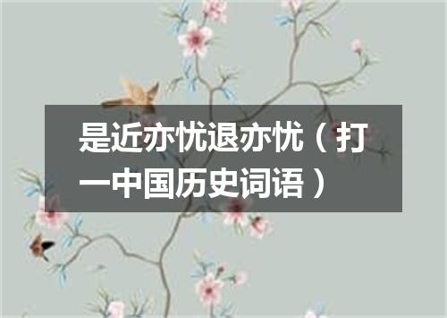 是近亦忧退亦忧（打一中国历史词语）