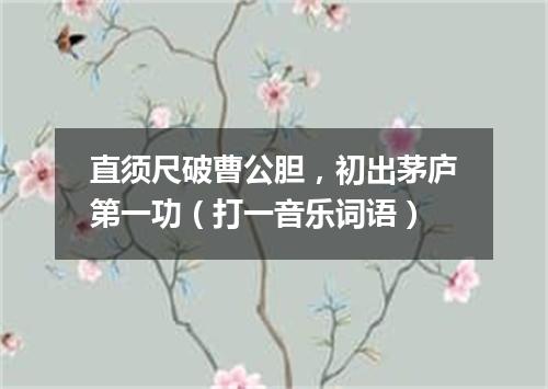 直须尺破曹公胆，初出茅庐第一功（打一音乐词语）