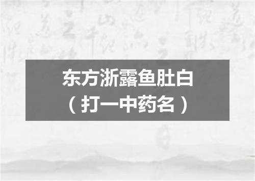 东方浙露鱼肚白（打一中药名）