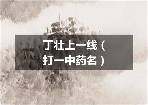 丁壮上一线（打一中药名）