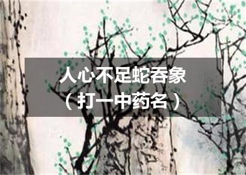 人心不足蛇吞象（打一中药名）