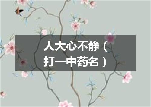 人大心不静（打一中药名）