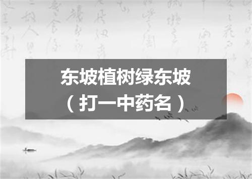 东坡植树绿东坡（打一中药名）