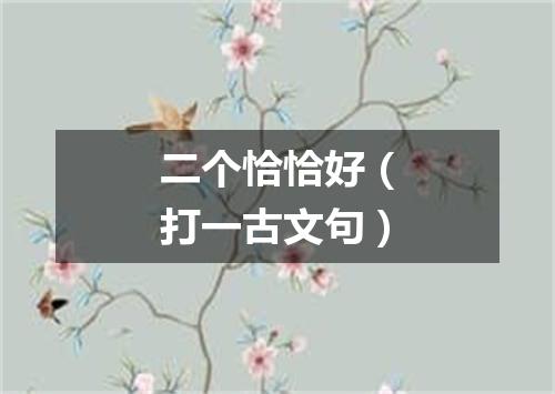 二个恰恰好（打一古文句）