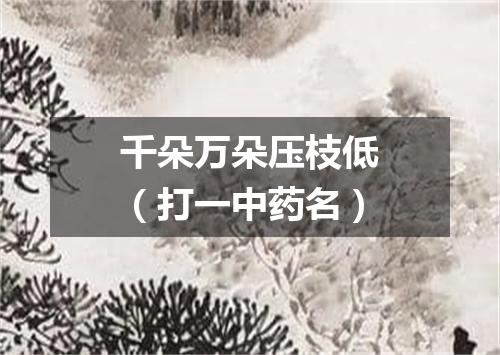 千朵万朵压枝低（打一中药名）