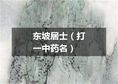 东坡居士（打一中药名）
