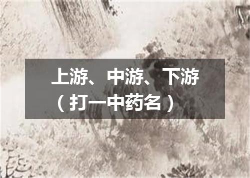 上游、中游、下游（打一中药名）