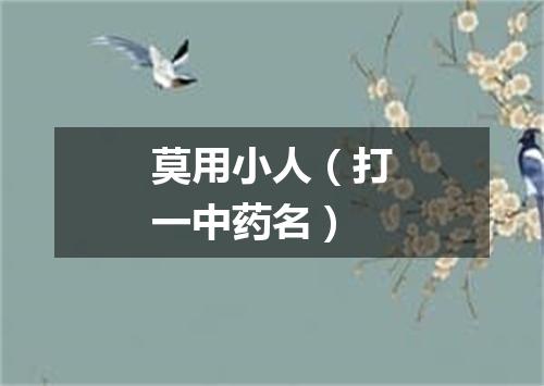 莫用小人（打一中药名）