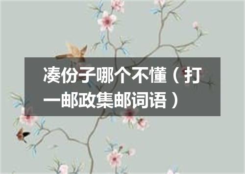 凑份子哪个不懂（打一邮政集邮词语）