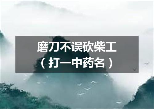 磨刀不误砍柴工（打一中药名）