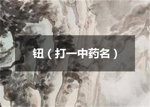 钮（打一中药名）