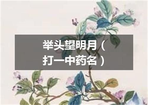举头望明月（打一中药名）