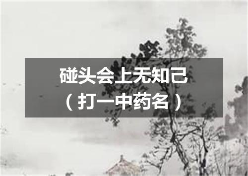碰头会上无知己（打一中药名）