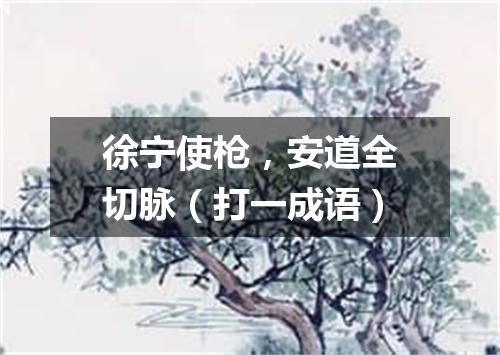 徐宁使枪，安道全切脉（打一成语）