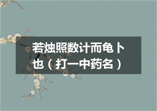 若烛照数计而龟卜也（打一中药名）