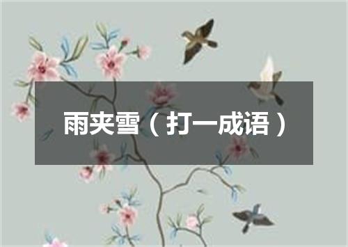 雨夹雪（打一成语）