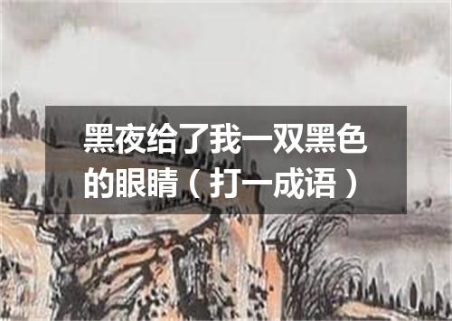 黑夜给了我一双黑色的眼睛（打一成语）