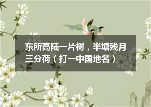 东所高陆一片树，半塘残月三分荷（打一中国地名）