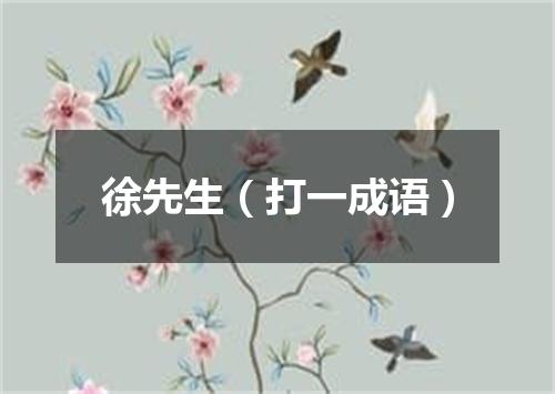 徐先生（打一成语）