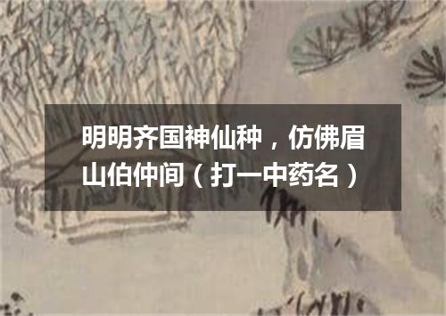 明明齐国神仙种，仿佛眉山伯仲间（打一中药名）