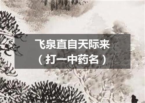 飞泉直自天际来（打一中药名）