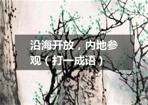 沿海开放，内地参观（打一成语）