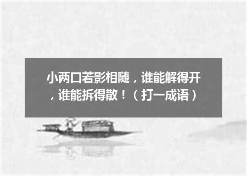 小两口若影相随，谁能解得开，谁能拆得散！（打一成语）