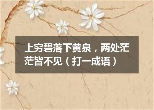 上穷碧落下黄泉，两处茫茫皆不见（打一成语）