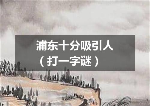 浦东十分吸引人（打一字谜）