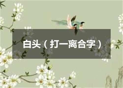 白头（打一离合字）