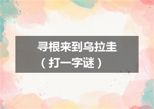 寻根来到乌拉圭（打一字谜）