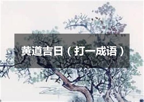 黄道吉日（打一成语）