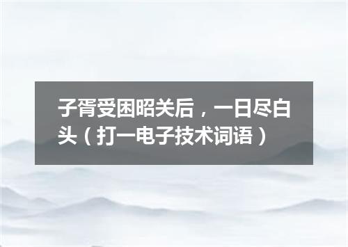 子胥受困昭关后，一日尽白头（打一电子技术词语）