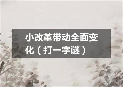 小改革带动全面变化（打一字谜）