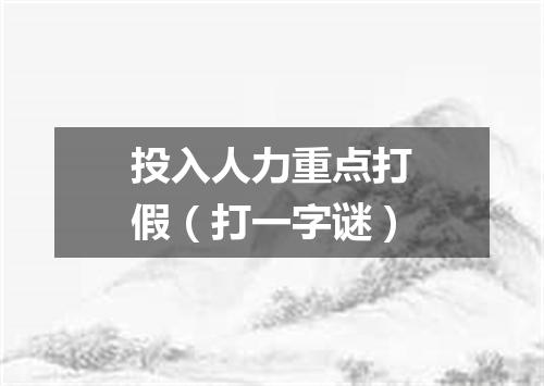 投入人力重点打假（打一字谜）