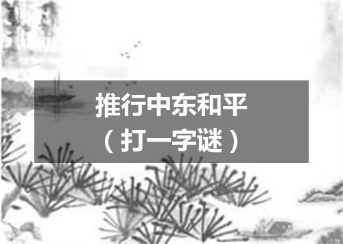 推行中东和平（打一字谜）