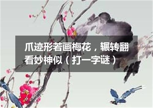 爪迹形若画梅花，辗转翻看妙神似（打一字谜）