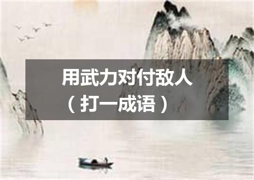 用武力对付敌人（打一成语）