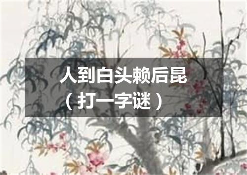 人到白头赖后昆（打一字谜）