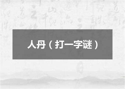 人丹（打一字谜）