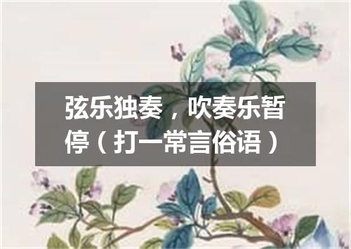 弦乐独奏，吹奏乐暂停（打一常言俗语）