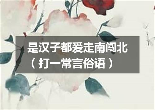 是汉子都爱走南闯北（打一常言俗语）