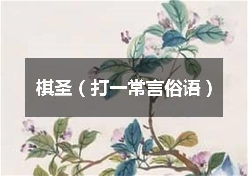 棋圣（打一常言俗语）