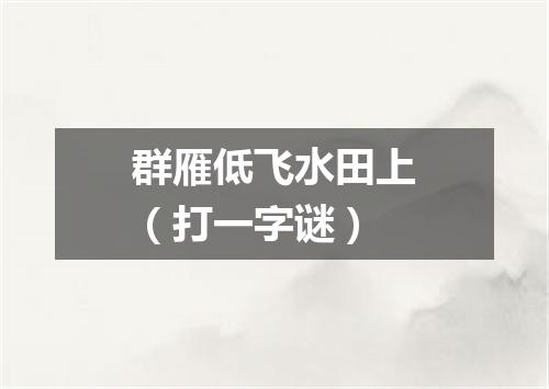 群雁低飞水田上（打一字谜）