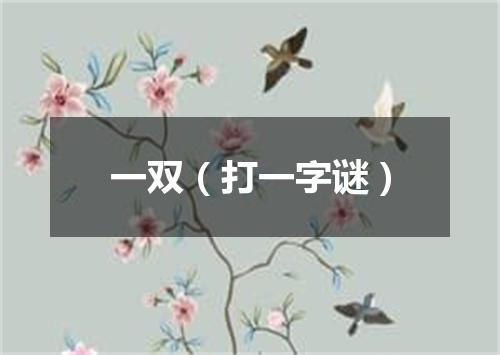一双（打一字谜）