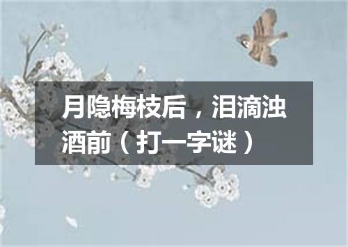 月隐梅枝后，泪滴浊酒前（打一字谜）